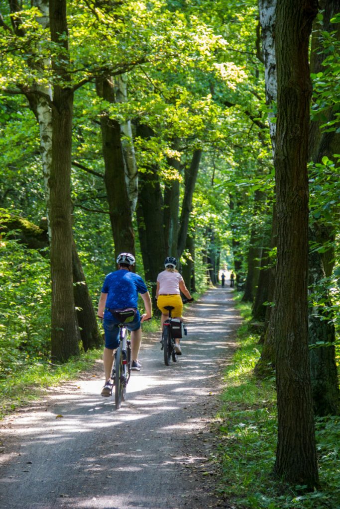People cycling in the Spreewald